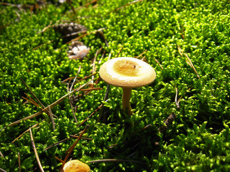 Similar image 1733379