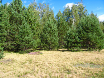 Similar image 1733381