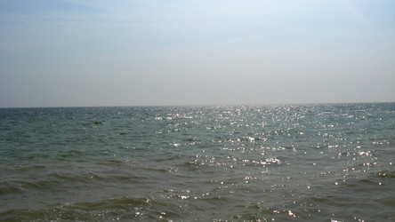 Similar image 1733384