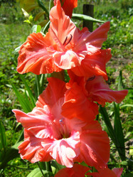 Similar image 1733396