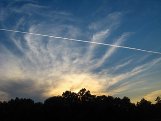 Similar image 1733405