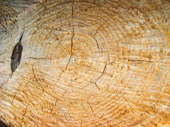 Similar image 1733415