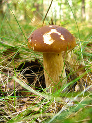 Similar image 1733417