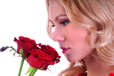 Similar image 1733418