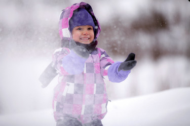 Similar image 1733456