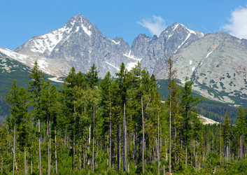 Similar image 1733678