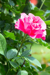 Similar image 1733694