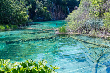 Similar image 1733731