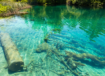 Similar image 1733734