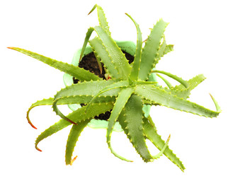 Similar image 1734471