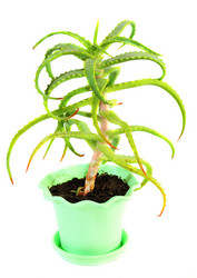 Similar image 1734475