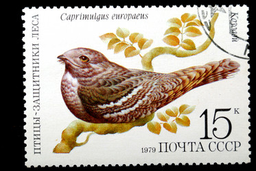 Similar image 1735284