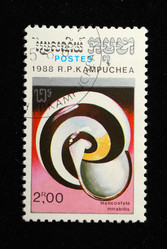 Similar image 1735289