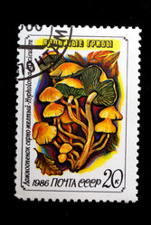 Similar image 1735292