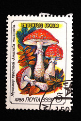 Similar image 1735293