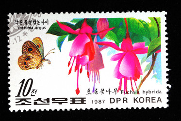 Similar image 1735296