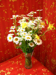 Similar image 1735301