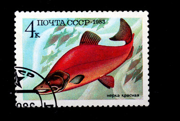 Similar image 1735302