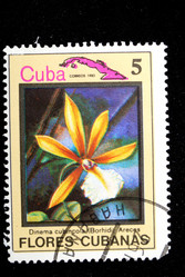 Similar image 1735303