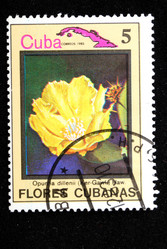 Similar image 1735304