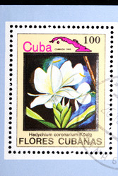 Similar image 1735305