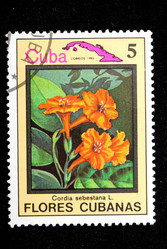 Similar image 1735306