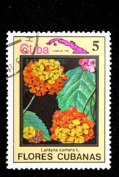 Similar image 1735308