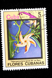 Similar image 1735312