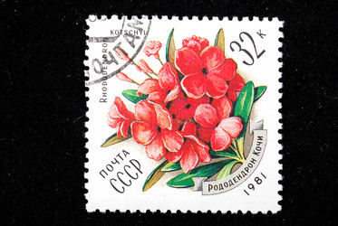 Similar image 1735316