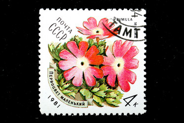 Similar image 1735317