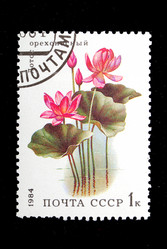 Similar image 1735318