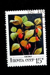 Similar image 1735319