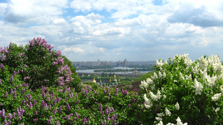 Similar image 1735321