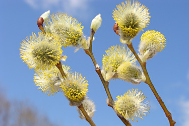 Similar image 1735325