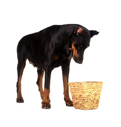 Similar image 1735327