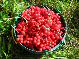 Similar image 1735349