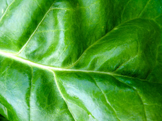 Similar image 1735352