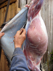 Similar image 1735353