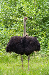 Similar image 1735505