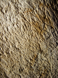 Similar image 1735586