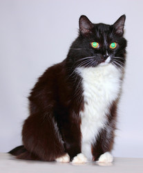 Similar image 1735600