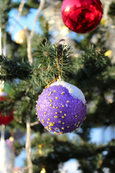 Similar image 1735605