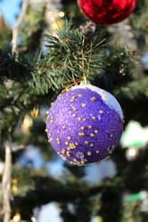 Similar image 1735606