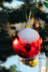 Similar image 1735607