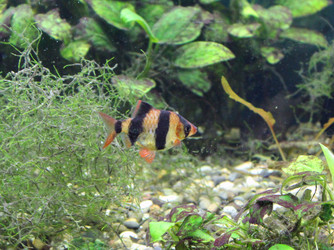 Similar image 1735609