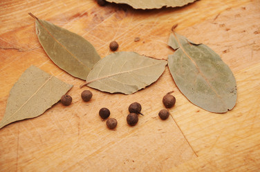 Similar image 1735764