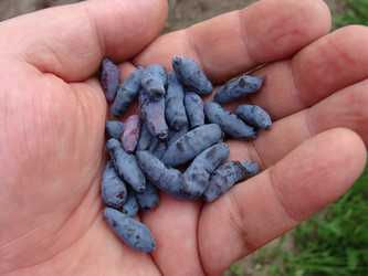 Similar image 1735859