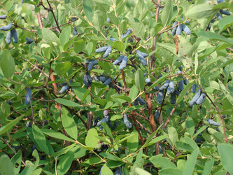 Similar image 1735860