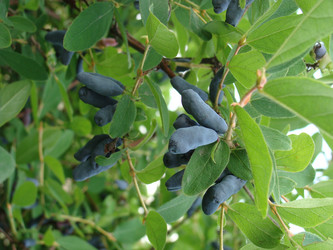 Similar image 1735862