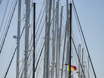 Similar image 1736083